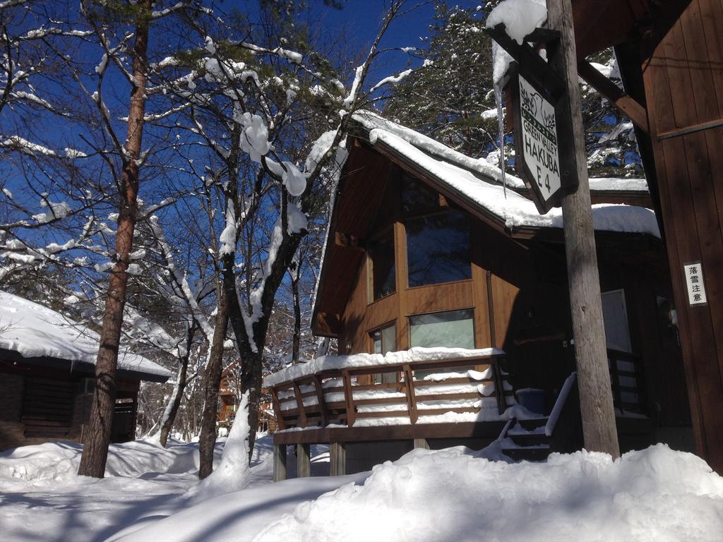 Holiday Cottage Green Valley Hakuba Exterior foto