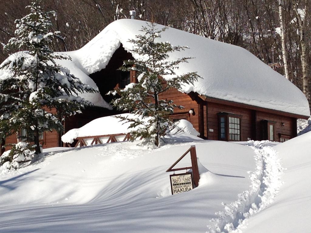 Holiday Cottage Green Valley Hakuba Exterior foto