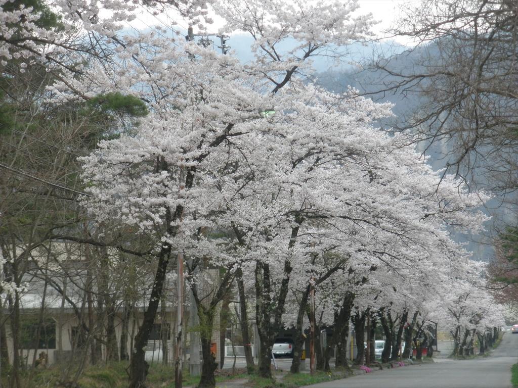 Holiday Cottage Green Valley Hakuba Exterior foto