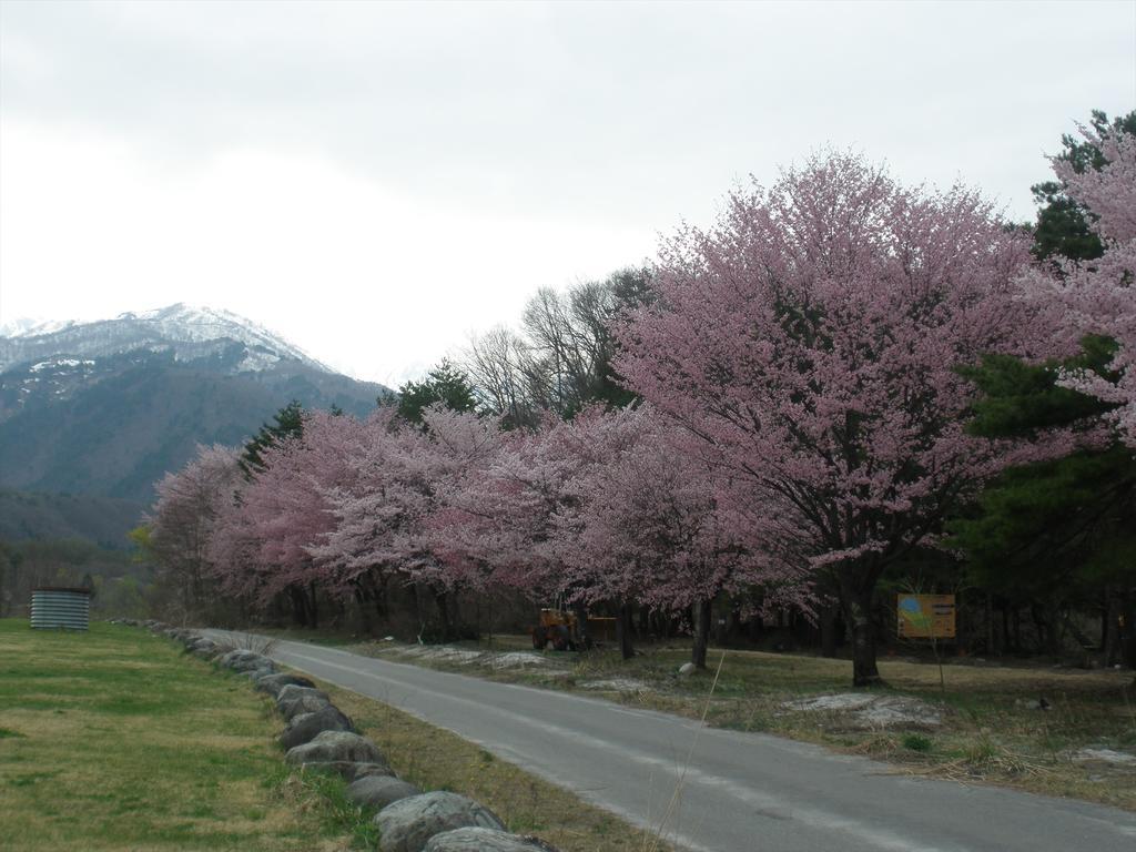 Holiday Cottage Green Valley Hakuba Exterior foto