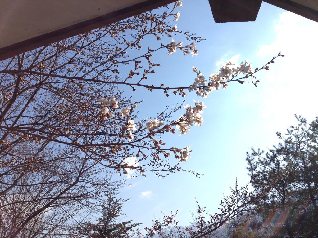 Holiday Cottage Green Valley Hakuba Exterior foto